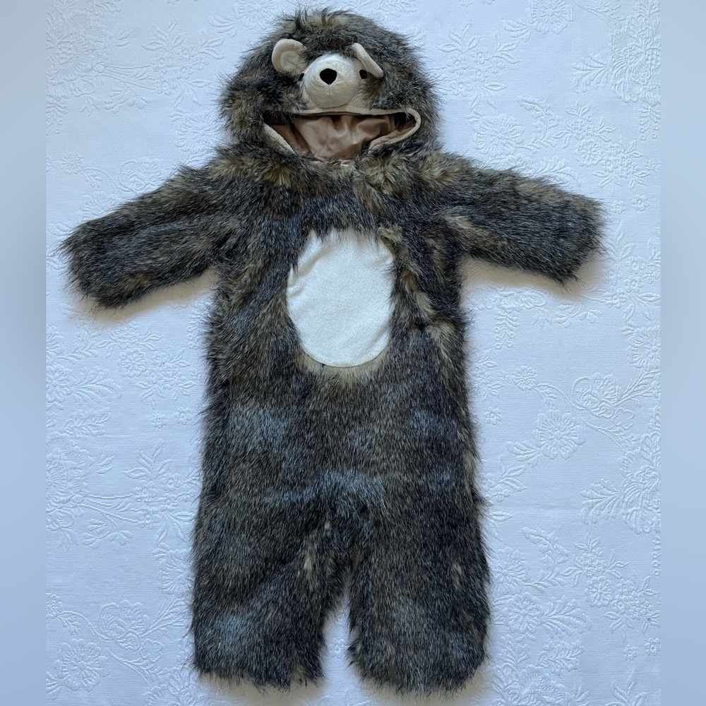 Pottery Barn Kids Furry Bear Costume - Gray and White